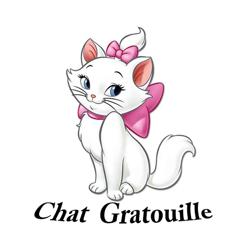 Logo de l'association Chat Gratouille