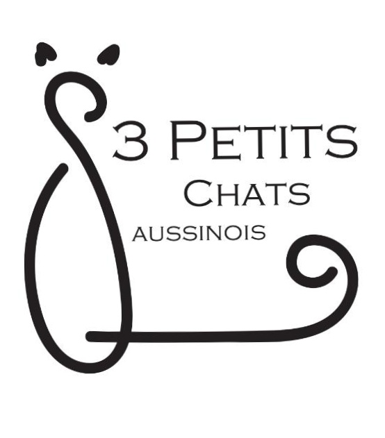 3 petits chats saussinois 