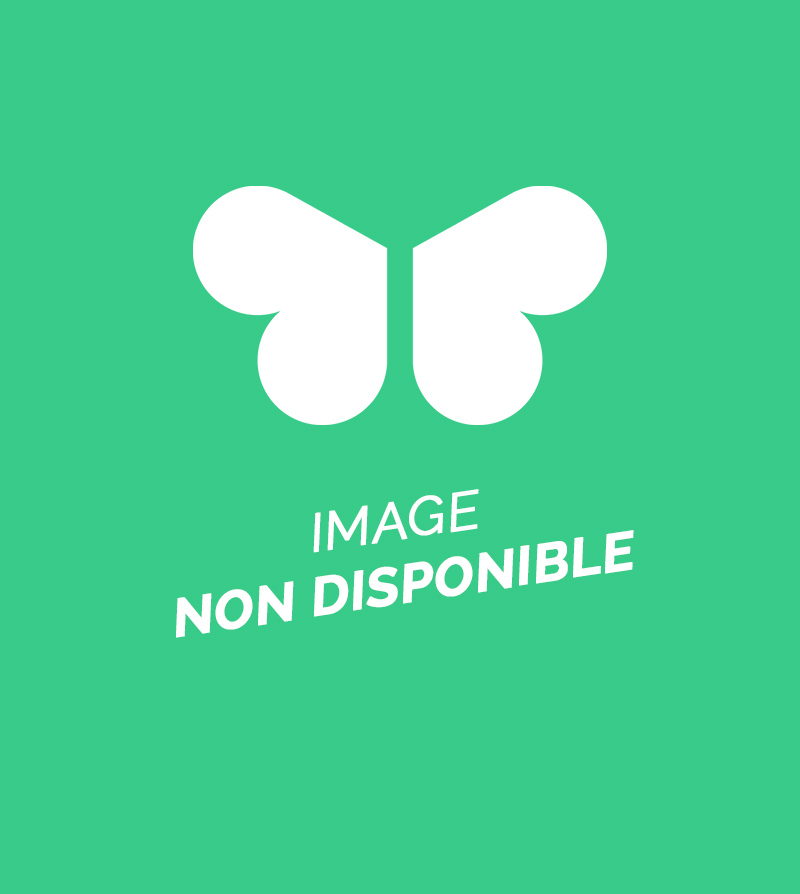 Tabac Presse Paul ALONZO